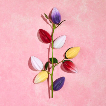 Сет цукерок Тюльпани